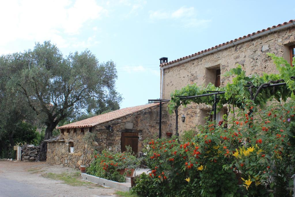 Pietra Moneta B&B Pietra-Monetta מראה חיצוני תמונה